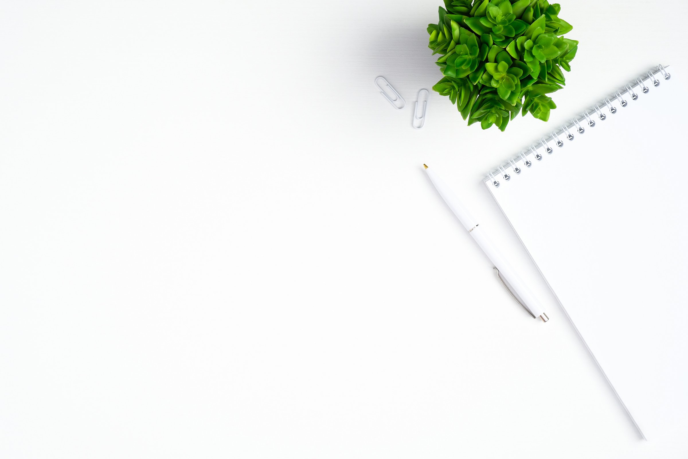 Blank Notepad, White Pen and Green Plant on Home Office Desk